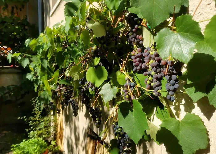 Auf Dem Georgenberg Apartment