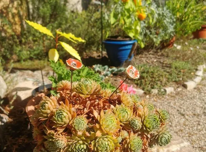 Apartman Auf Dem Georgenberg